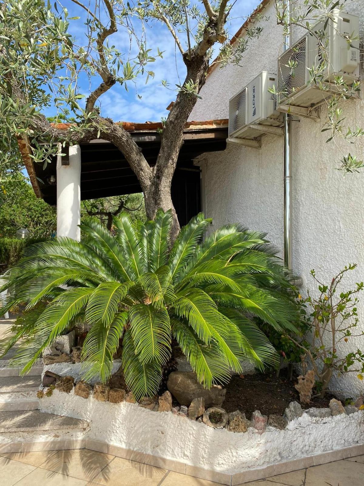 Domo Angheleda - Alghero Casa Indipendente Vicino Al Mare Exterior photo